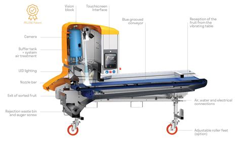 grape sorting machines|Optical Sorters .